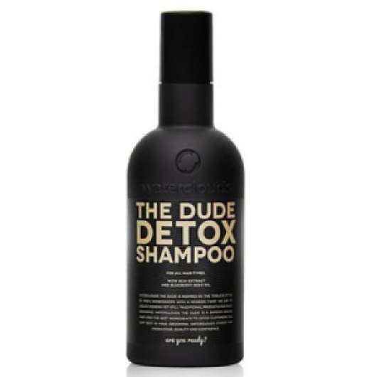 Waterclouds The Dude Detox Shampoo 250ml